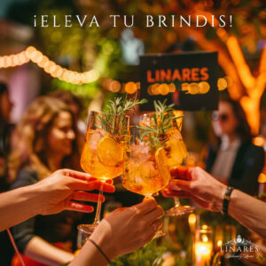 ELEVA TU BRINDIS CON LINARES LICOR DE NARANJA mas amarillo