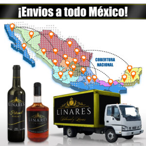 Envios a todo mexico opcion 6